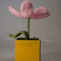 Handmade Crochet Flower in Bee Flower Pot