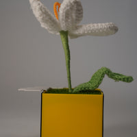 Handmade Crochet Flower in Bee Flower Pot