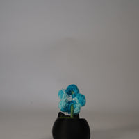 Handmade Crochet Flower in Black Cat Flower Pot